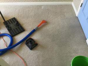 Clean carpet after DooDoo Voodoo extraction of dog pee with Water Claw & upholstery tool
