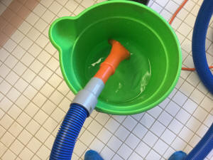 Rinsing hose, upholstery tool & extractor with fresh water after DooDoo Voodoo